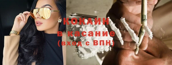 сатива Алексин