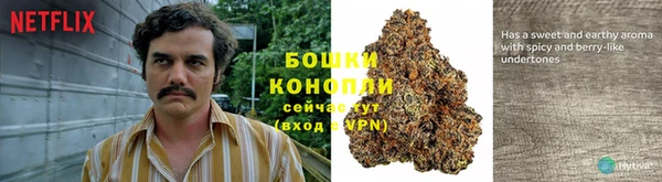 сатива Алексин