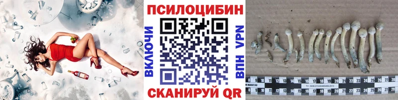 Галлюциногенные грибы прущие грибы  Рошаль 